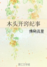 木头开窍纪事