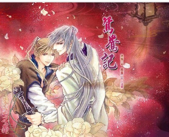 鸳鸯记 (出书版)