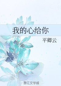 我的心给你