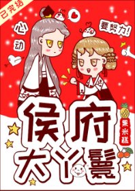 侯府大丫鬟