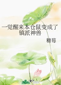 一覺醒來本倉鼠變成了鎮派神獸