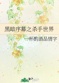 黑暗序幕之杀手世界