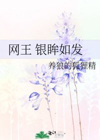 网王 银眸如发