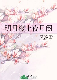 明月樓上夜月閣