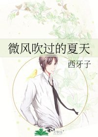 微风吹过的夏天
