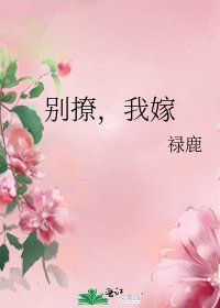 别撩,我嫁