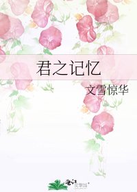 君之记忆