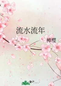 流水流年