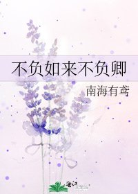 不負如來不負卿