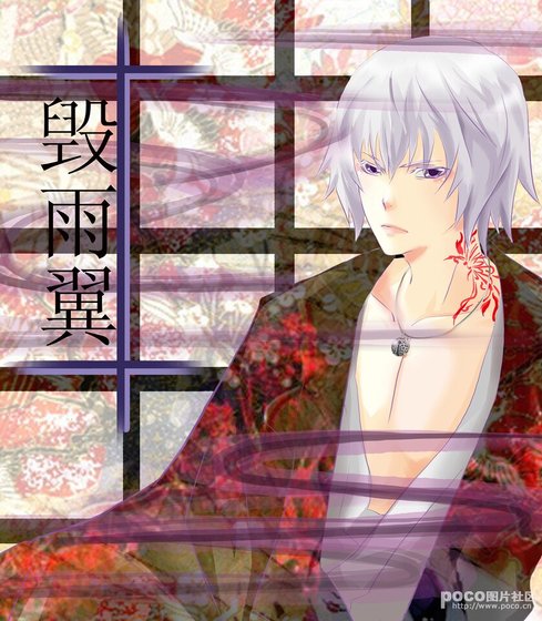 毁雨翼